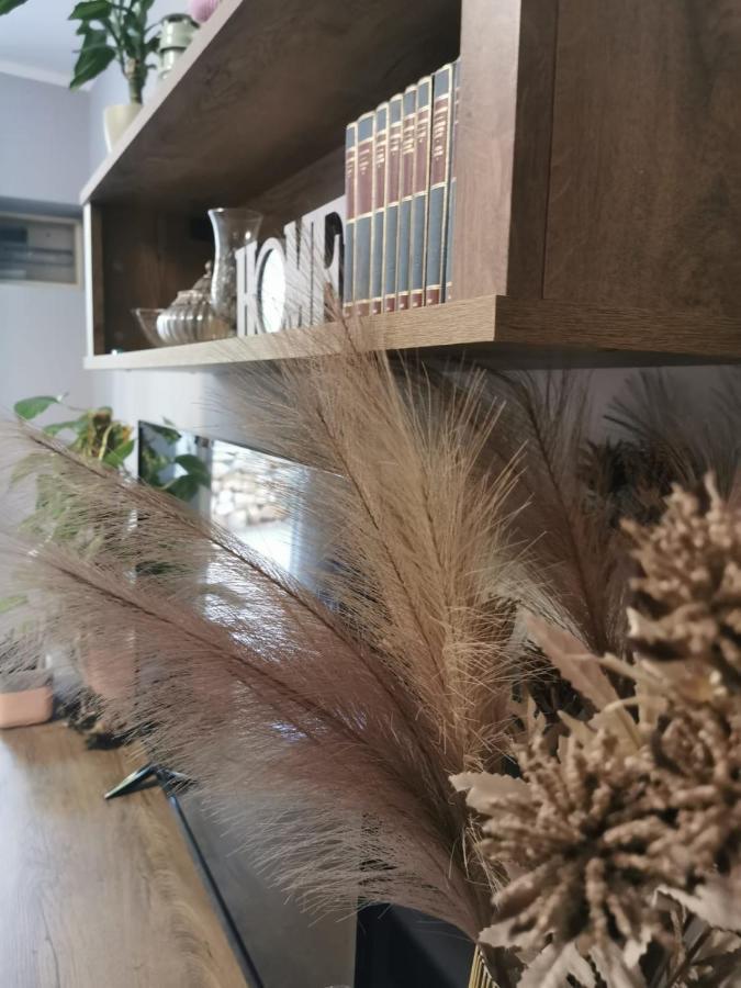Apartment With Garden ヴェラ・ルカ エクステリア 写真